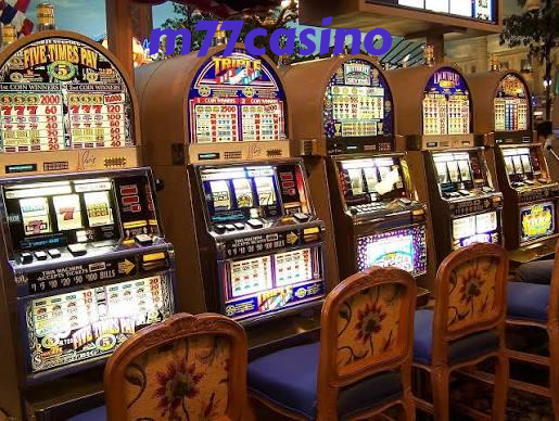 m77casino Live Sportsbook Markets at Your Fingertips